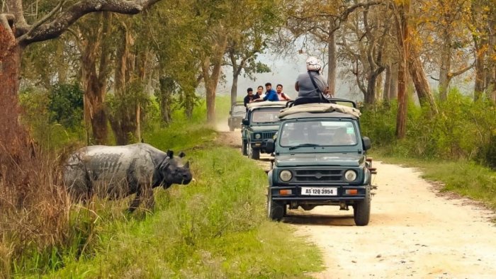 kaziranga Jeep Safari